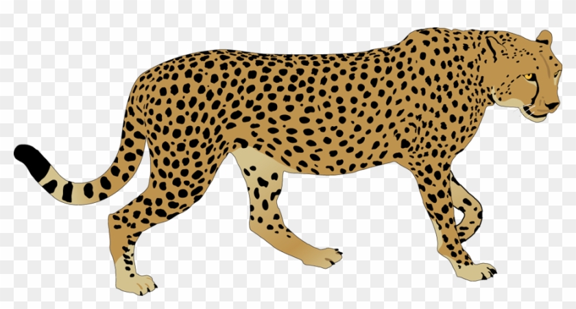 Detail Free Cheetah Clip Art Nomer 14