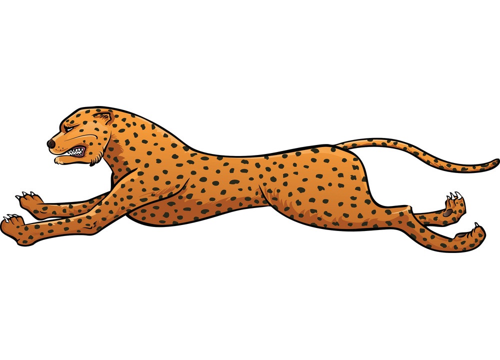 Detail Free Cheetah Clip Art Nomer 25