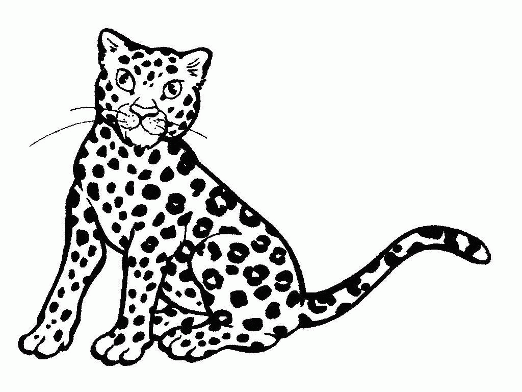 Detail Free Cheetah Clip Art Nomer 41