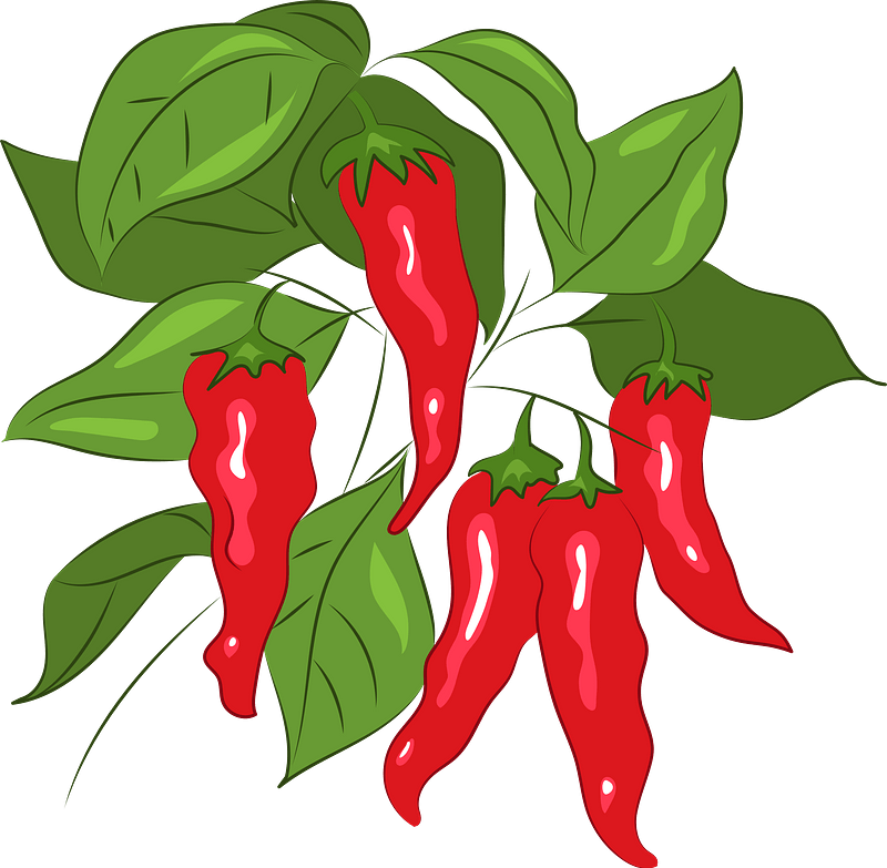 Detail Free Chili Clipart Nomer 8