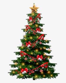 Detail Free Christmas Tree Png Nomer 8