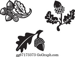 Detail Free Clip Art Acorn Nomer 19