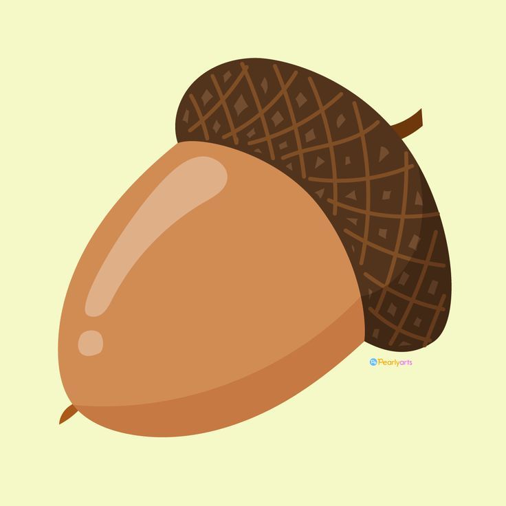 Detail Free Clip Art Acorn Nomer 26