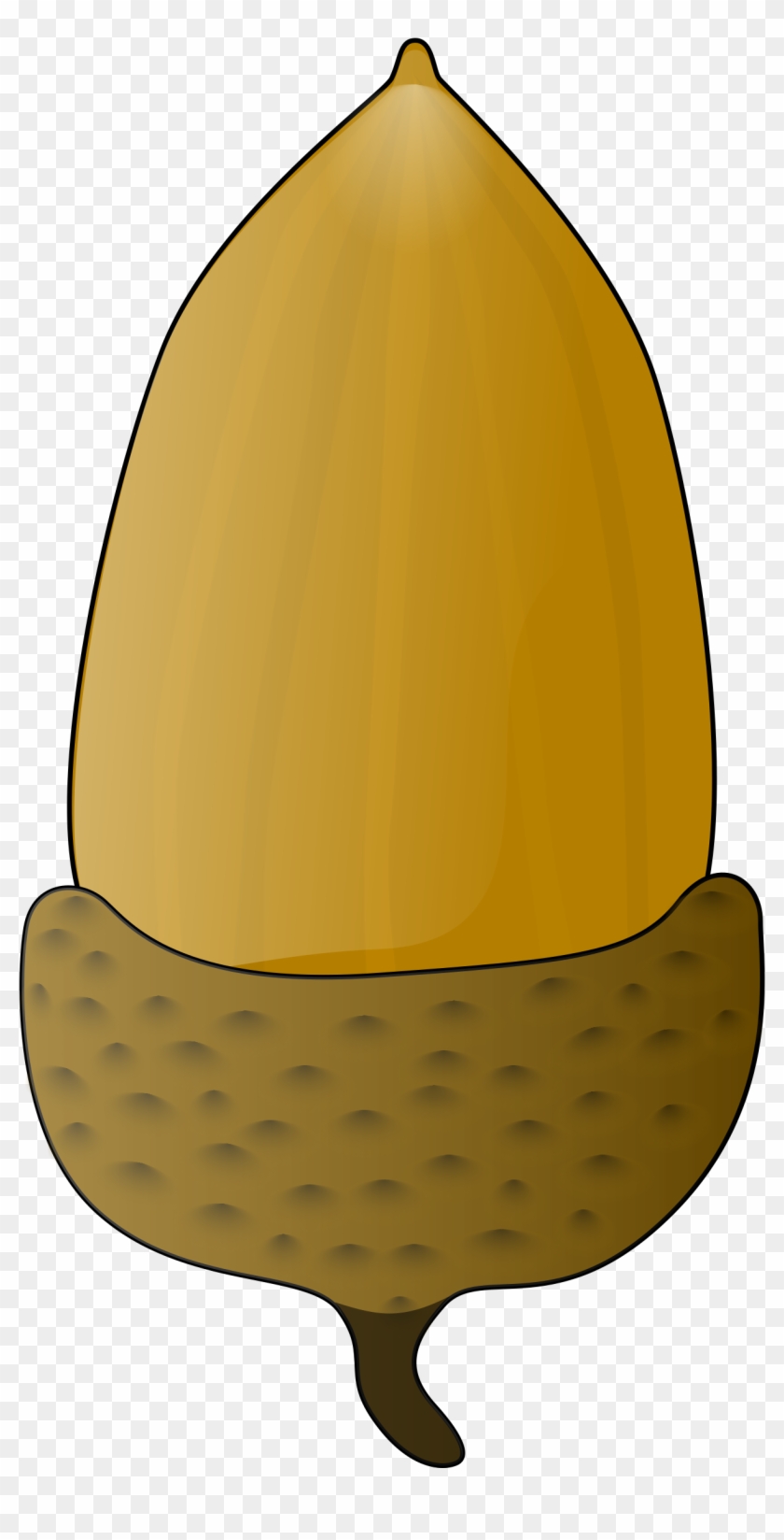 Detail Free Clip Art Acorn Nomer 31