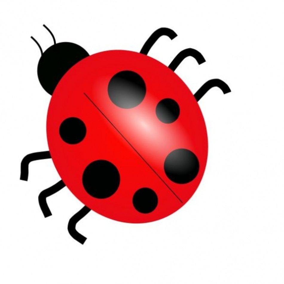 Detail Free Clip Art Bugs Nomer 14