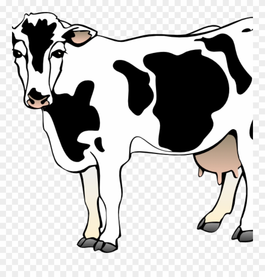 Detail Free Clip Art Cow Nomer 5