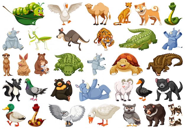 Download Free Clipart And Photos Nomer 3