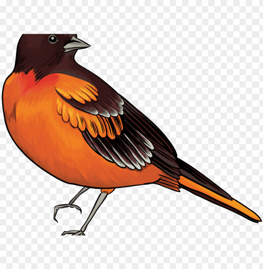 Detail Free Clipart Birds Nomer 13