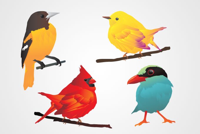 Detail Free Clipart Birds Nomer 47