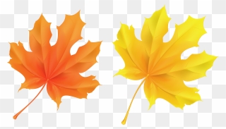 Detail Free Clipart Fall Leaves Nomer 27