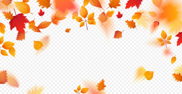 Detail Free Clipart Fall Leaves Nomer 48