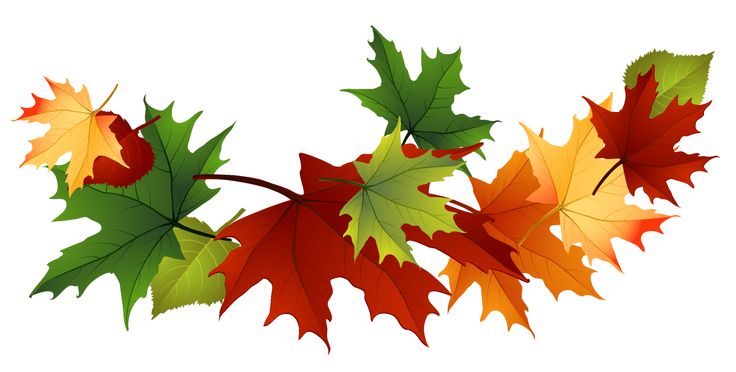 Detail Free Clipart Fall Leaves Nomer 6