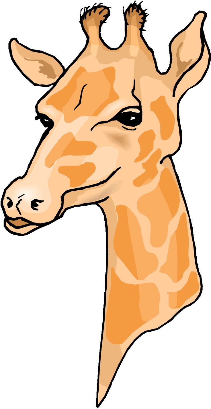 Detail Free Clipart Giraffe Nomer 43
