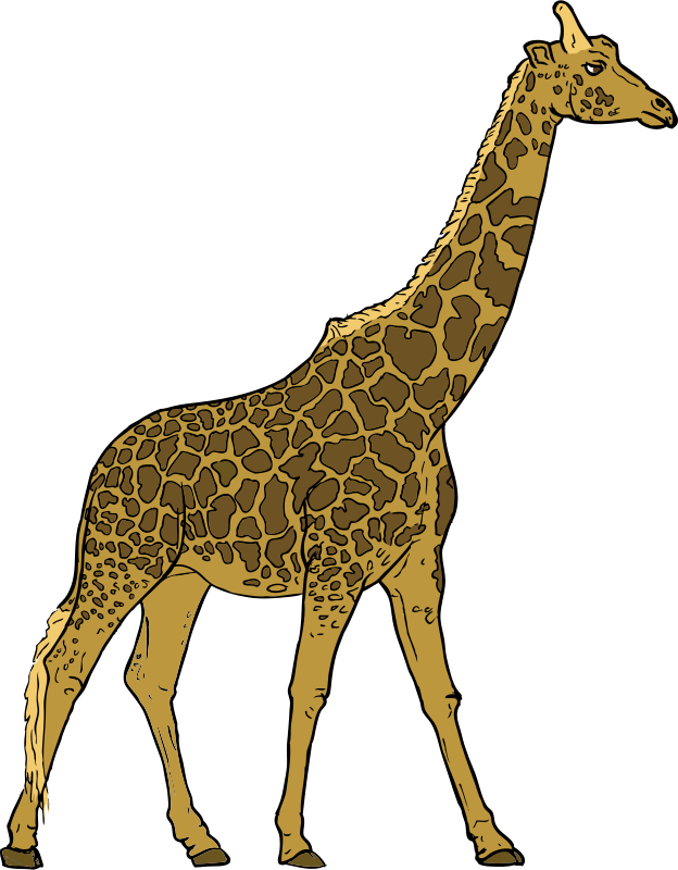 Detail Free Clipart Giraffe Nomer 45
