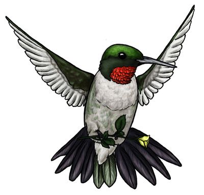 Free Clipart Hummingbird - KibrisPDR