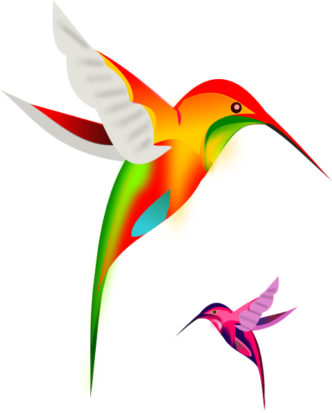 Detail Free Clipart Hummingbird Nomer 8