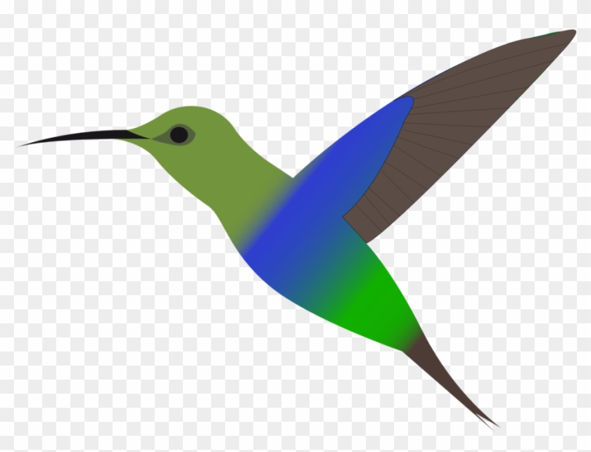 Detail Free Clipart Hummingbird Nomer 10