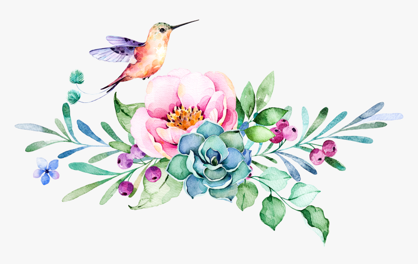 Detail Free Clipart Hummingbird Nomer 17