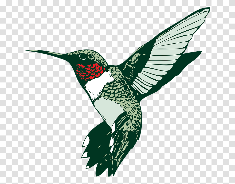 Detail Free Clipart Hummingbird Nomer 26