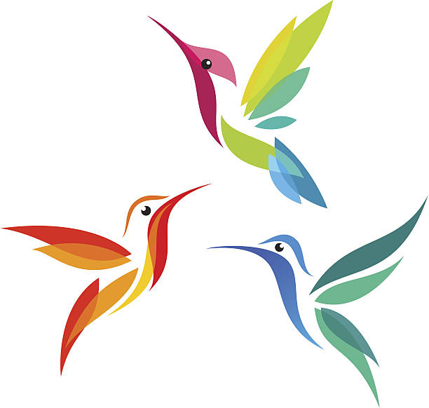 Detail Free Clipart Hummingbird Nomer 30