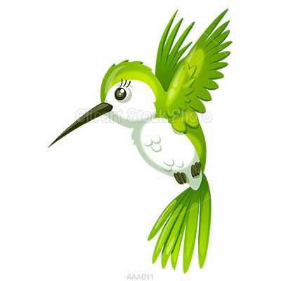 Detail Free Clipart Hummingbird Nomer 32