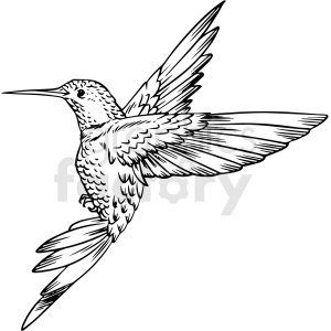 Detail Free Clipart Hummingbird Nomer 37