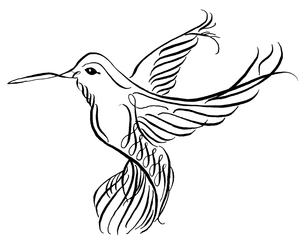 Detail Free Clipart Hummingbird Nomer 41