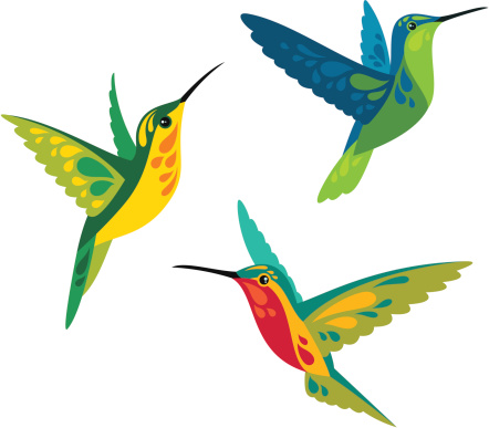 Detail Free Clipart Hummingbird Nomer 45