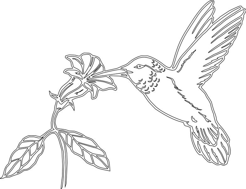 Detail Free Clipart Hummingbird Nomer 47