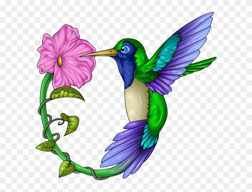 Detail Free Clipart Hummingbird Nomer 6