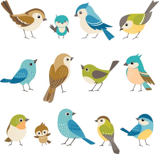 Detail Free Clipart Of Birds Nomer 2