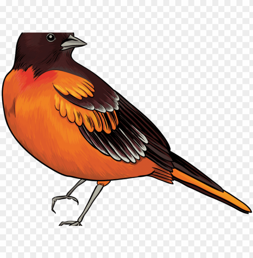 Detail Free Clipart Of Birds Nomer 16