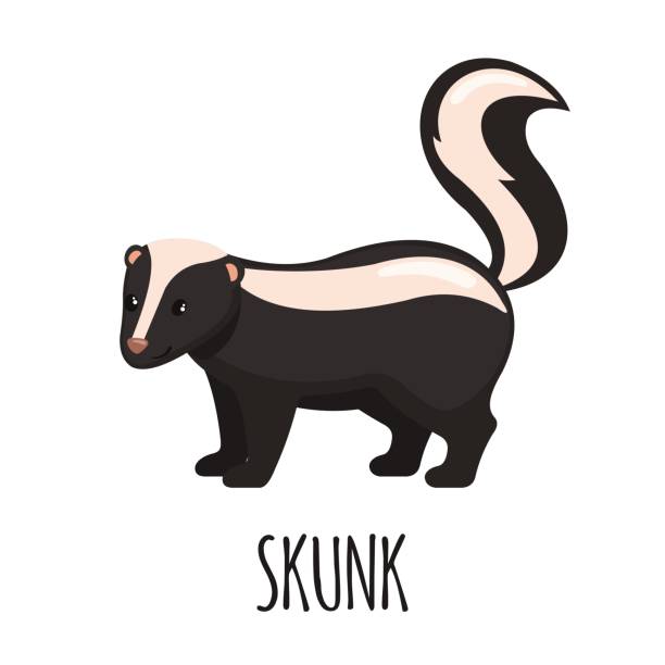 Detail Free Clipart Skunk Nomer 36