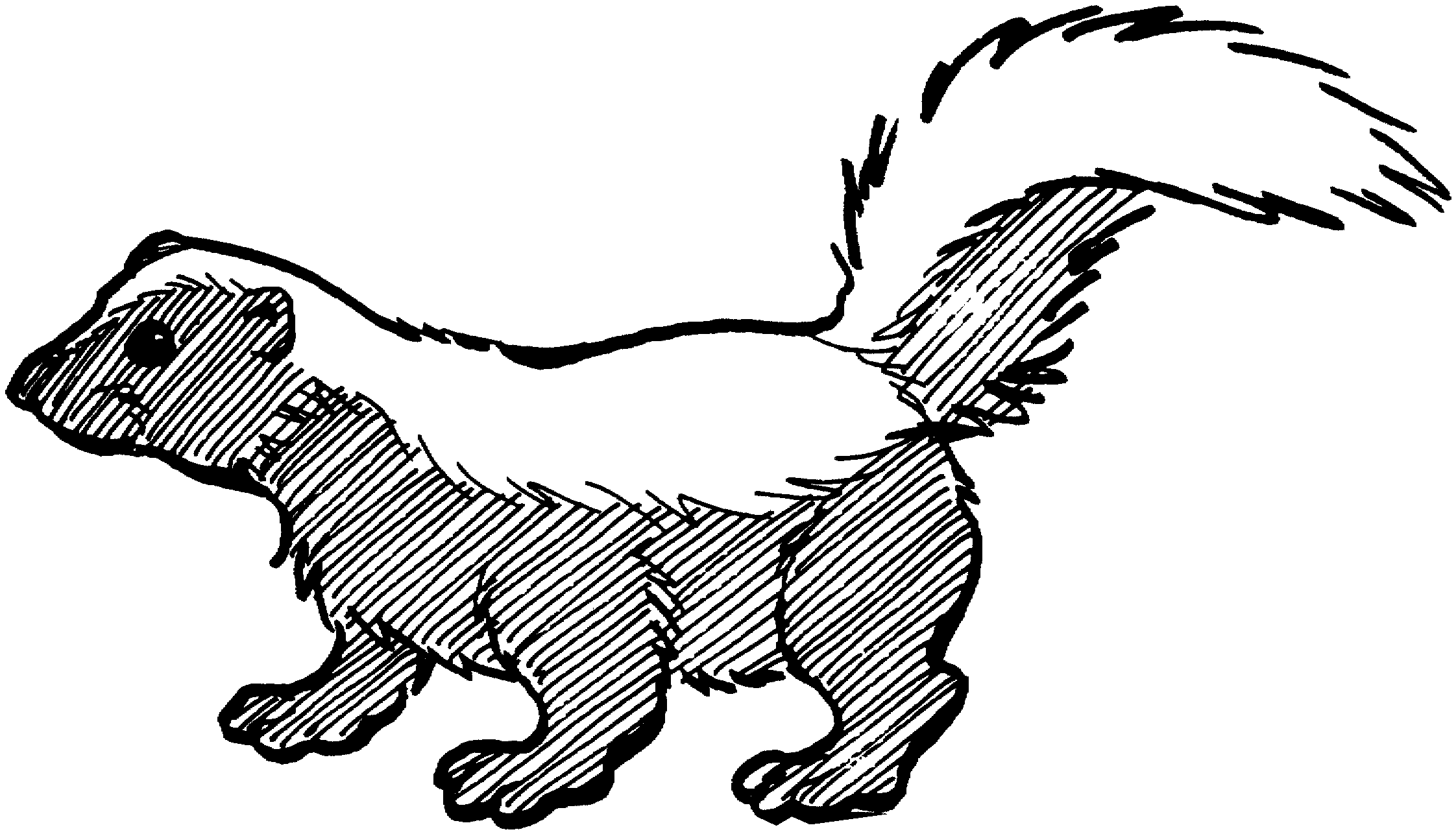 Detail Free Clipart Skunk Nomer 46