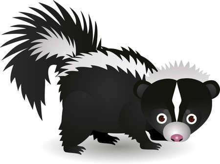 Detail Free Clipart Skunk Nomer 5