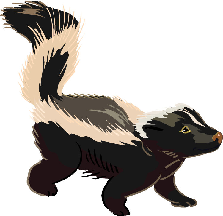 Detail Free Clipart Skunk Nomer 6