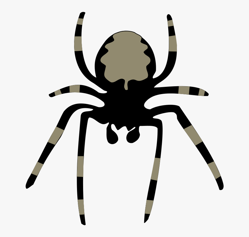 Detail Free Clipart Spider Nomer 10