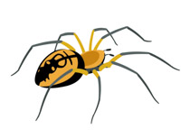 Detail Free Clipart Spider Nomer 16