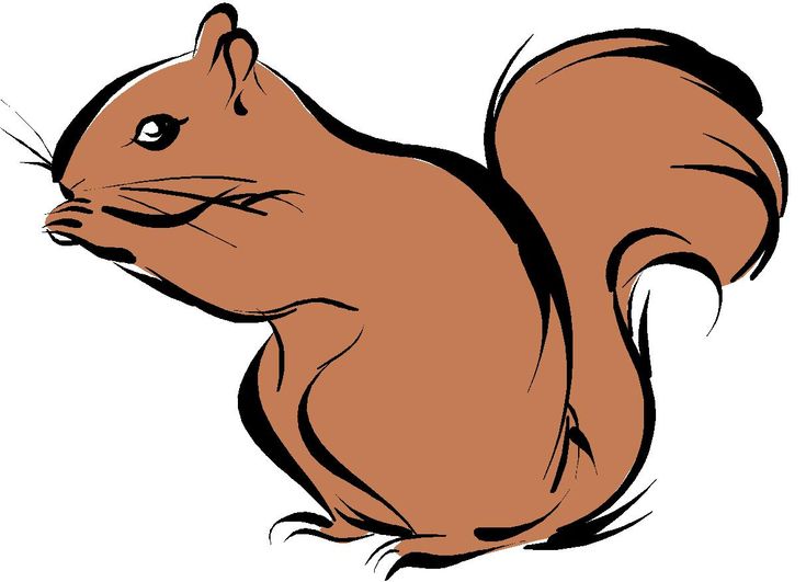 Detail Free Clipart Squirrel Nomer 9