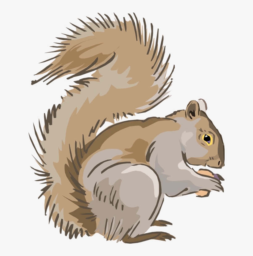 Detail Free Clipart Squirrel Nomer 14