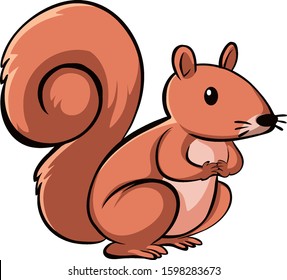 Detail Free Clipart Squirrel Nomer 3