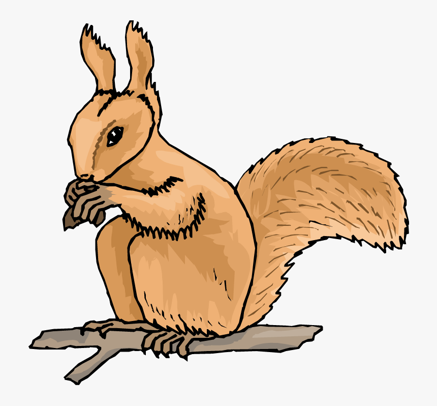 Detail Free Clipart Squirrel Nomer 44