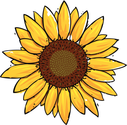 Detail Free Clipart Sunflower Nomer 17