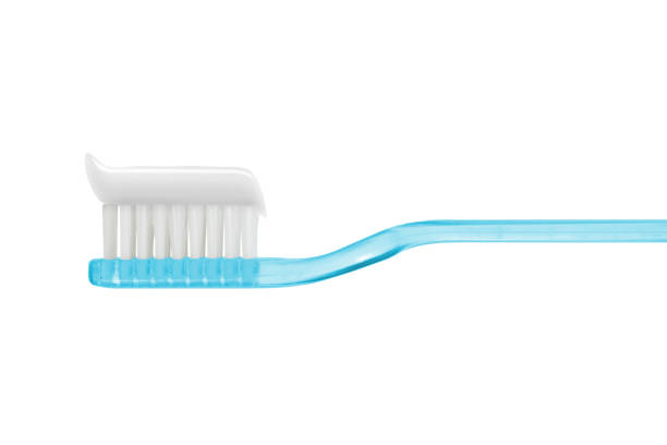 Detail Free Clipart Toothbrush Nomer 45