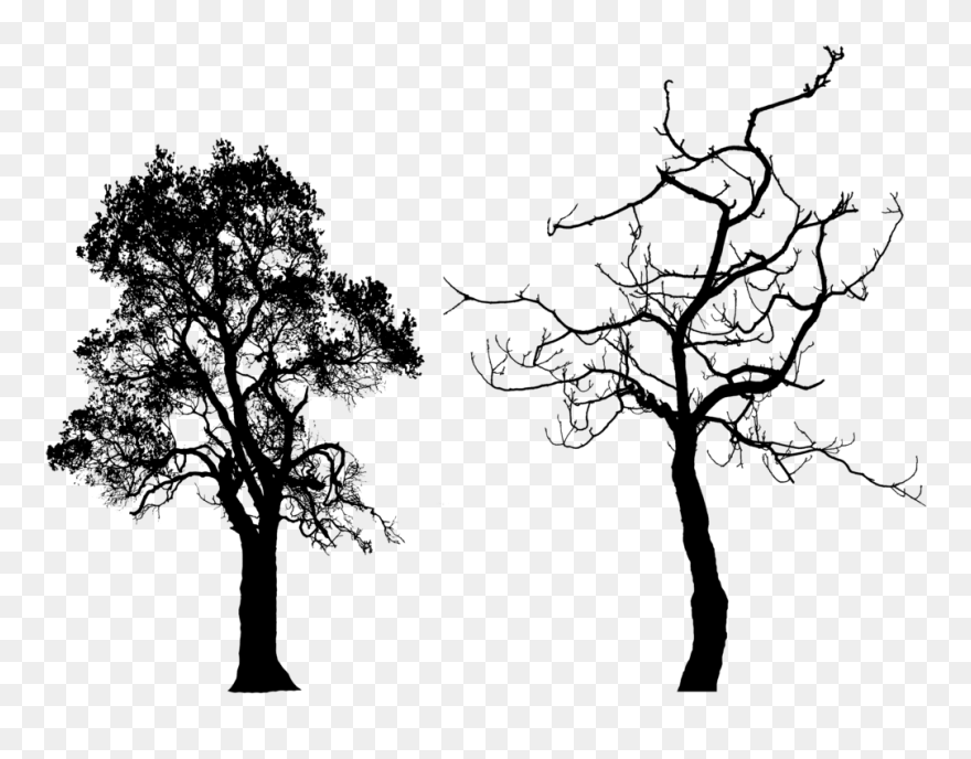 Detail Free Clipart Tree Silhouette Nomer 7