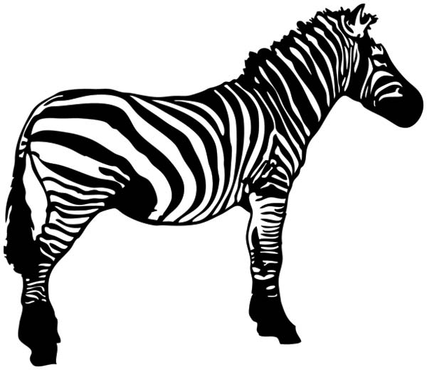 Detail Free Clipart Zebra Nomer 19