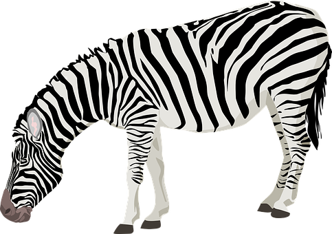 Detail Free Clipart Zebra Nomer 22