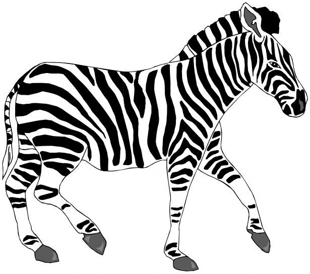 Detail Free Clipart Zebra Nomer 7