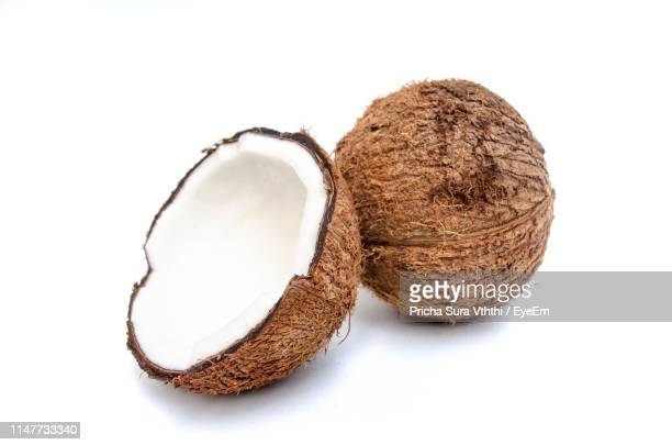 Detail Free Coconut Images Nomer 17