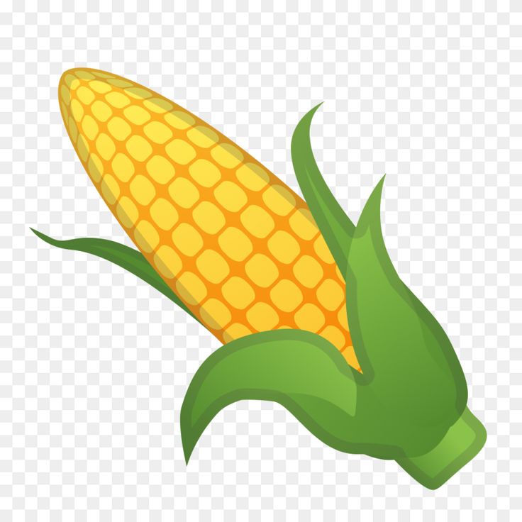 Detail Free Corn Clipart Nomer 10